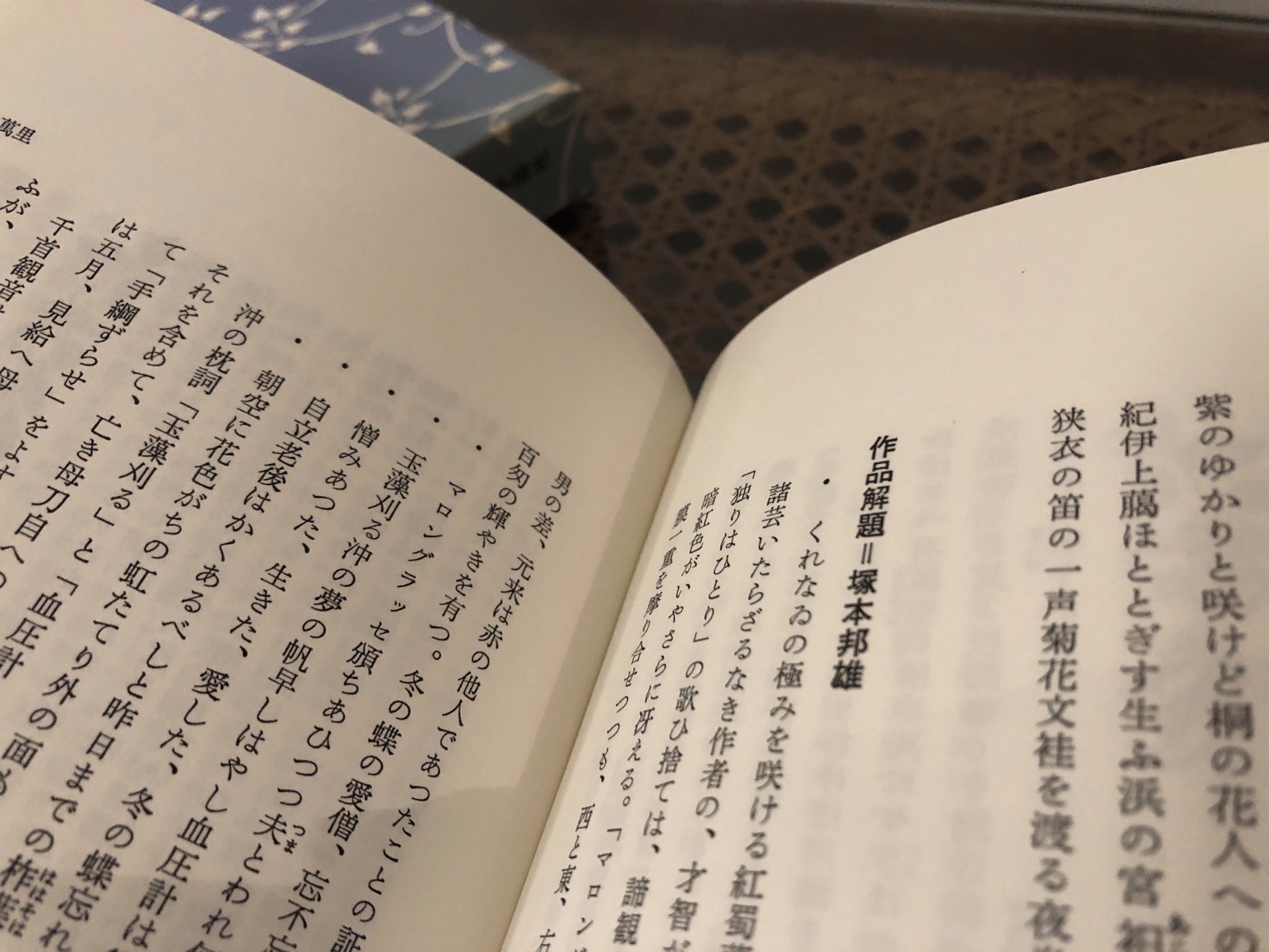 塚本邦雄監修「青琴集 エコール・ド・ロイヤル作品集成」 1992年 書肆季節社初版 函付き美本 | Astarte