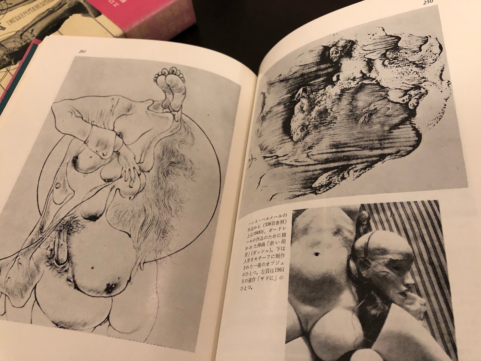 澁澤龍彦編集「エロティシズム」 1973年 青土社初版 函帯付き極美完本